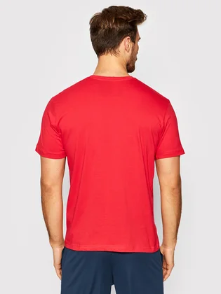 Футболка мужская Joma Desert Red 101739.600