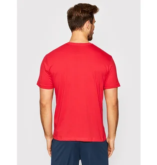 Футболка мужская Joma Desert Red 101739.600
