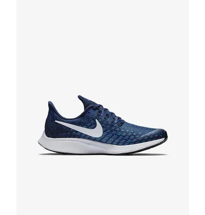 Кросівки дитячі Nike Air Zoom Pegasus 35 Younger Blue AH3482-404