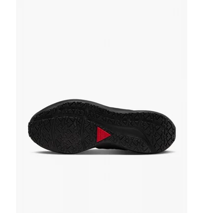Кросівки жіночі Nike Air Zoom Pegasus 39 Shield Black Do7626-001