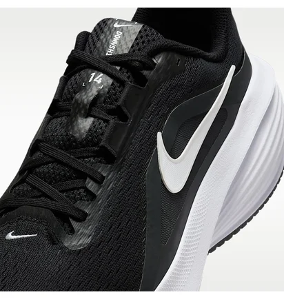 Кроссовки мужские Nike Downshifter 14 Black IB1895-002