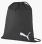 Рюкзак унісекс Puma Teamgoal Black 076853-03