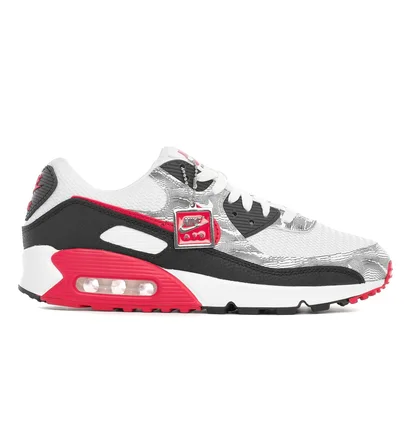Кроссовки мужские Nike Air Max 90 Multi DJ0639-100