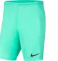 Шорты мужские Nike Dry Park Iii Short Nb K Turquoise Bv6855-354
