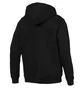 Толстовка мужская Puma Essentials Full Zip Fleece Hoodie Black 851763-21