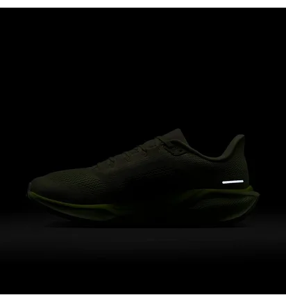 Кроссовки мужские Nike Air Zoom Pegasus 41 Green FD2722-303