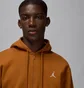 Толстовка мужская Air Jordan Brkln Flc Fz Brown FV7289-228