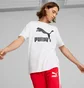Футболка мужская Puma T-Shirt Classics Logo White 530088-02