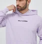 Худи мужское Helly Hansen Core Graphic Sweat Hoodie Violet 53924-699