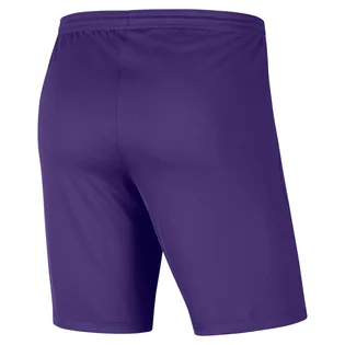 Шорты мужские Nike Shorts Dri-Fit Park 3 Violet BV6855-547