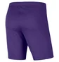Шорти чоловічі Nike Shorts Dri-Fit Park 3 Violet BV6855-547