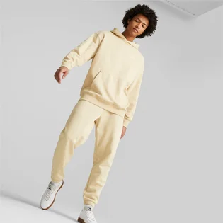 Штани чоловічі Puma Classics Beige 535597-88
