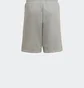 Шорты детские Adidas Originals Adicolor Grey HD2062
