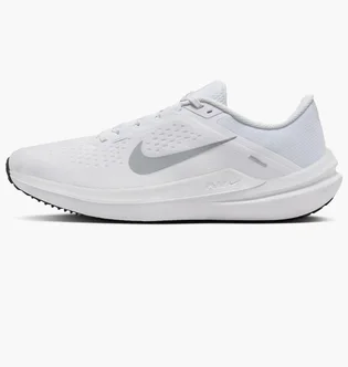 Кроссовки мужские Nike Winflo 10 Running Shoes White DV4022-102