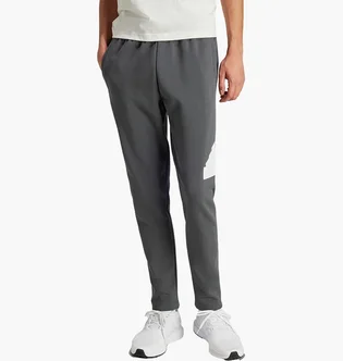 Штаны мужские Adidas Future Icons Badge Of Sport Joggers Grey IR9177