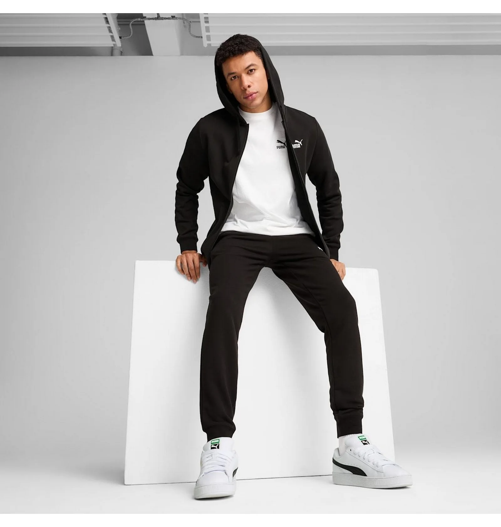 ᐉ Толстовка мужская Puma Ess Full-Zip Hoodie Black 682586-01