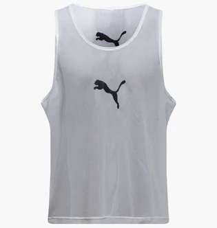 Манишка унисекс Puma Team Additions Grey 660717-04