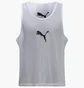 Манішка унісекс Puma Team Additions Grey 660717-04