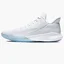 Кросівки унісекс Nike Precision Iv White Pure Platinium CK1069-100