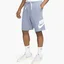 Шорти чоловічі Nike Club Alumni French Terry Light Blue DX0502-493