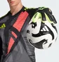 Перчатки вратарские Adidas Copa Gl League Green/Black JN5344