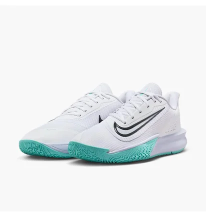 Кросівки чоловічі Nike Precision Vii White HJ9153-101