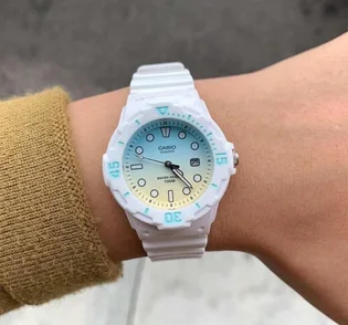 Часы женские Casio Sport LRW-200H-2E2