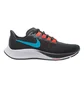 Кроссовки мужские Nike Air Zoom Pegasus 37 Black BQ9646-011