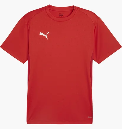 Футболка мужская Puma Teamgoal Shirt Rood Red 658636-01