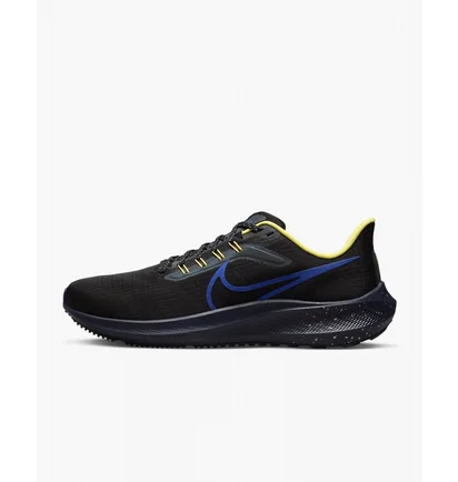 Кроссовки мужские Nike Air Zoom Pegasus 39 Black DZ4846-001
