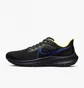 Кроссовки мужские Nike Air Zoom Pegasus 39 Black DZ4846-001