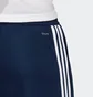 Штаны мужские Adidas Sere19 Trg Pnt Blue DY3134