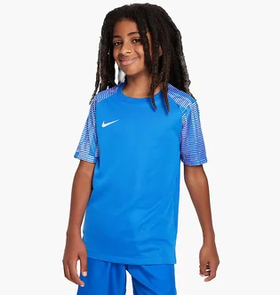 Футболка детская Nike Dri-Fit Academy Blue DH8369-463