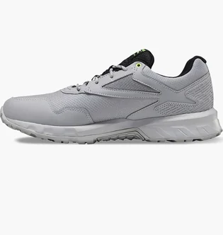 Кроссовки мужские Reebok Ridgerider 5 Gtx Grey EF4124