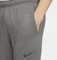 Штаны мужские Nike Dri-Fit Tape Training Pants Grey CZ6379-071