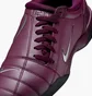 Кроссовки мужские Nike Total 90 3 Sp Bordeaux Violet HJ9351-600
