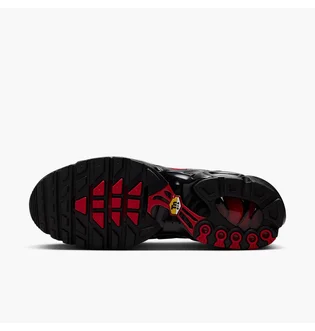 Кроссовки мужские Nike Air Max Plus Black IH4459-001