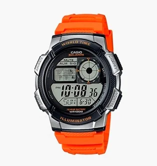 Часы мужские Casio AE-1000W-4B
