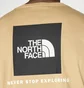 Футболка мужская The North Face Evolution Box Beige NF0A8B6KBOX