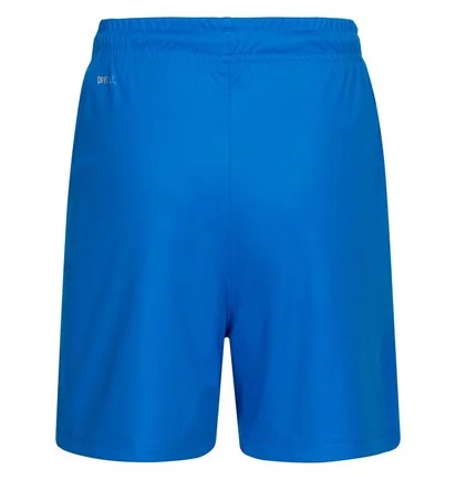 Шорты детские Puma Liga Core Blue 703437-02