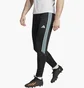 Штаны мужские Adidas Pants Tiro23 Cb Trpnt Black IL9549