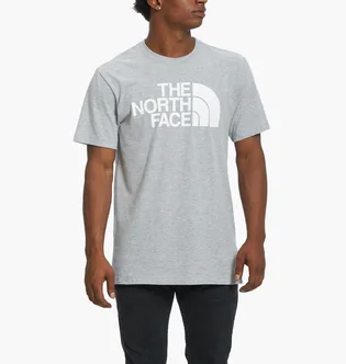 Футболка мужская The North Face T Shirt Grey Nf0A4M4Pdyx