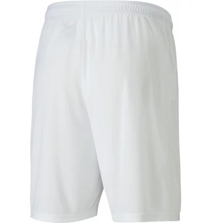 Шорти чоловічі Puma Teamgoal 23 Knit Shorts White 704262-04