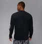 Лонгслів чоловічий Air Jordan Sport Dri-Fit Black HQ9038-010