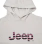 Худи мужское Jeep Hooded Cropped Sweatshirt Striped Print Beige O102609-J863