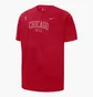 Футболка чоловіча Nike Chicago Bulls Courtside Max 90 MenS Nba T-Shirt Red DR6314-657