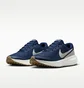 Кросівки чоловічі Nike Revolution 8 Blue HJ9198-402