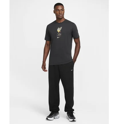 Футболка мужская Nike Lfc Nk Crest Grey HQ0266-070