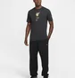 Футболка мужская Nike Lfc Nk Crest Grey HQ0266-070