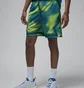 Шорты мужские Air Jordan Dri-Fit Sport Turquoise FB7576-336